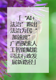 “AI+法治”跑出法治为民“加速度” 广西探索人工智能赋能司法行政发展新路径