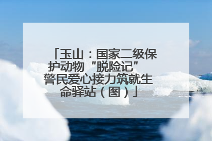 玉山：国家二级保护动物“脱险记” 警民爱心接力筑就生命驿站（图）