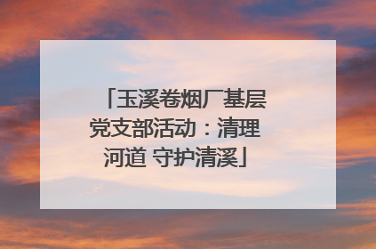 玉溪卷烟厂基层党支部活动：清理河道 守护清溪