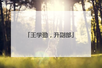 王学勤，升副部