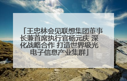 王忠林会见联想集团董事长兼首席执行官杨元庆 深化战略合作 打造世界级光电子信息产业集群
