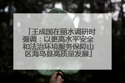 王成国在丽水调研时强调：以更高水平安全和法治环境服务保障山区海岛县高质量发展