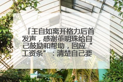 王自如离开格力后首发声，感谢董明珠给自己鼓励和帮助，回应“工资条”：清楚自己要什么，工资条不重要