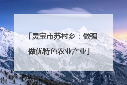 灵宝市苏村乡：做强做优特色农业产业
