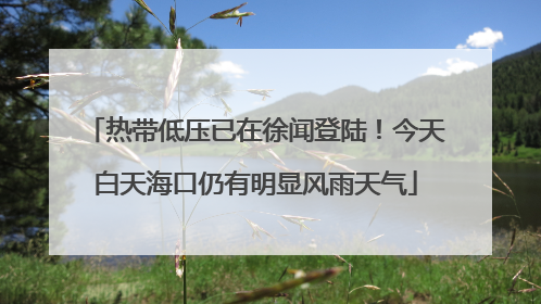 热带低压已在徐闻登陆！今天白天海口仍有明显风雨天气