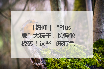 热闻｜“Plus版”大粽子，长得像板砖！这些山东特色粽子你吃过吗？