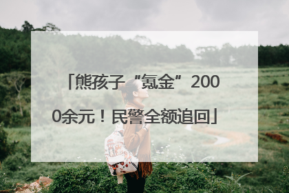 熊孩子“氪金”2000余元！民警全额追回