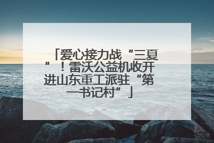爱心接力战“三夏”！雷沃公益机收开进山东重工派驻“第一书记村”