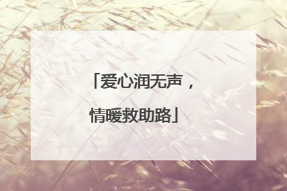爱心润无声，情暖救助路
