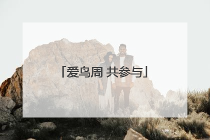 爱鸟周 共参与