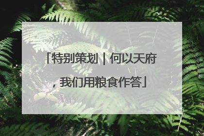 特别策划｜何以天府，我们用粮食作答