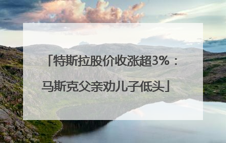 特斯拉股价收涨超3%：马斯克父亲劝儿子低头