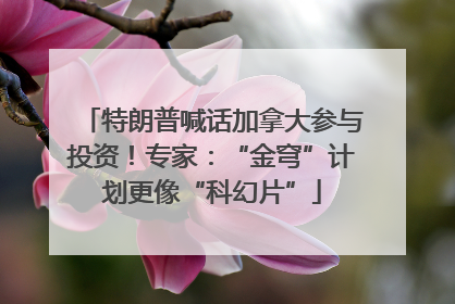 特朗普喊话加拿大参与投资！专家：“金穹”计划更像“科幻片”