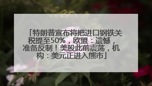 特朗普宣布将把进口钢铁关税提至50%，欧盟：遗憾，准备反制！美股此前震荡，机构：美元正进入熊市