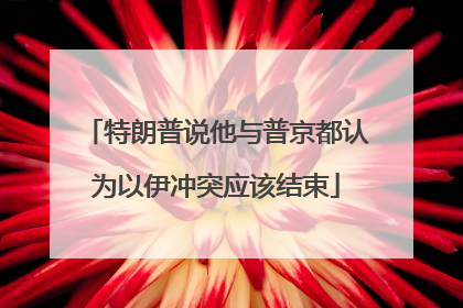 特朗普说他与普京都认为以伊冲突应该结束