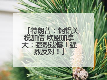 特朗普：钢铝关税加倍 欧盟加拿大：强烈遗憾！强烈反对！