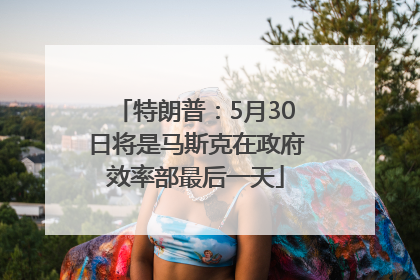 特朗普：5月30日将是马斯克在政府效率部最后一天