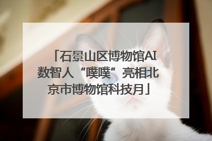 石景山区博物馆AI数智人“噗噗”亮相北京市博物馆科技月