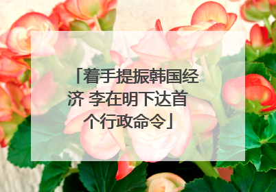 着手提振韩国经济 李在明下达首个行政命令