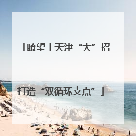 瞭望丨天津“大”招打造“双循环支点”