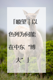 瞭望｜以色列为何能在中东“博大”