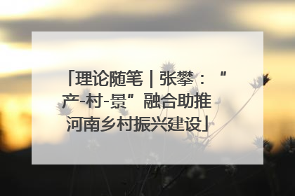 理论随笔｜张攀：“产-村-景”融合助推河南乡村振兴建设
