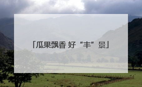 瓜果飘香 好“丰”景