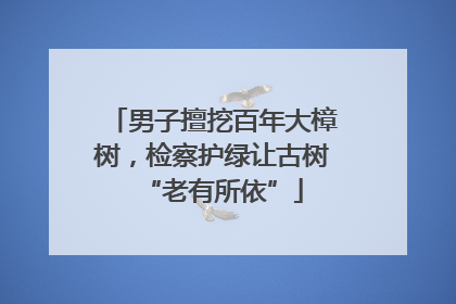 男子擅挖百年大樟树，检察护绿让古树“老有所依”