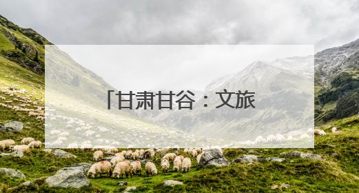 甘肃甘谷：文旅农康融合解锁乡村“新玩法”绘就振兴新图景