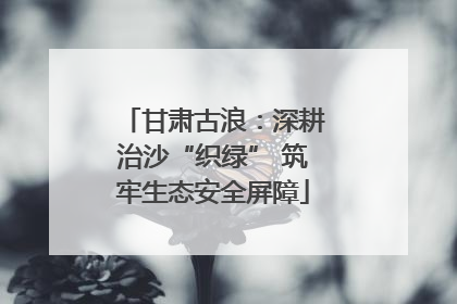 甘肃古浪：深耕治沙“织绿” 筑牢生态安全屏障