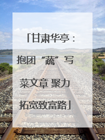 甘肃华亭：抱团“蔬”写菜文章 聚力拓宽致富路