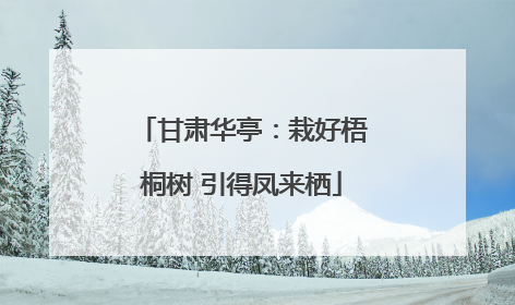 甘肃华亭：栽好梧桐树 引得凤来栖
