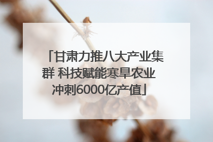 甘肃力推八大产业集群 科技赋能寒旱农业冲刺6000亿产值