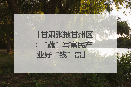 甘肃张掖甘州区：“蔬”写富民产业好“钱”景