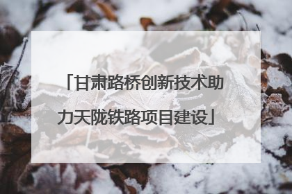 甘肃路桥创新技术助力天陇铁路项目建设