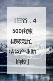 甘谷：4500亩辣椒移栽忙 特色产业助增收