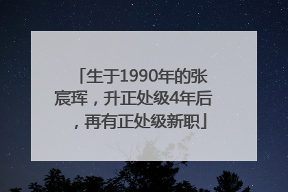 生于1990年的张宸珲，升正处级4年后，再有正处级新职