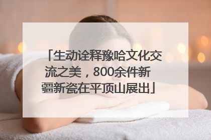 生动诠释豫哈文化交流之美，800余件新疆新瓷在平顶山展出