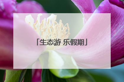生态游 乐假期