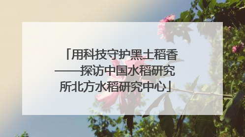 用科技守护黑土稻香——探访中国水稻研究所北方水稻研究中心