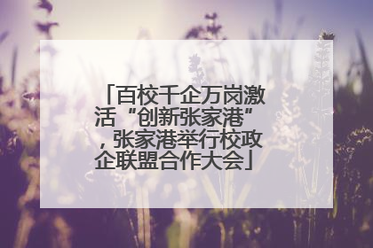 百校千企万岗激活“创新张家港”，张家港举行校政企联盟合作大会