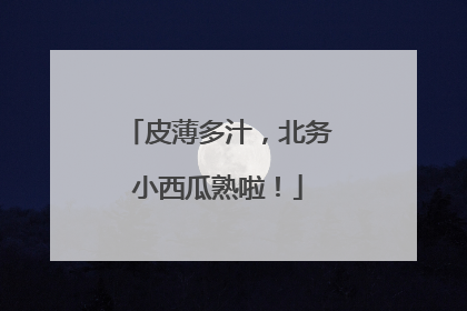 皮薄多汁，北务小西瓜熟啦！