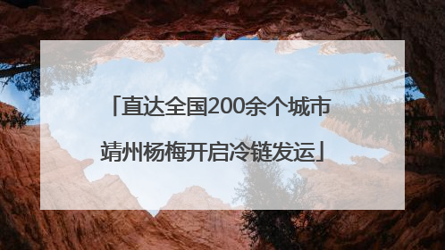 直达全国200余个城市 靖州杨梅开启冷链发运