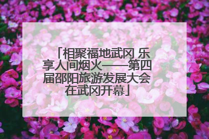 相聚福地武冈 乐享人间烟火——第四届邵阳旅游发展大会在武冈开幕
