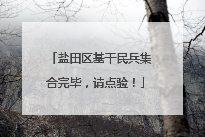 盐田区基干民兵集合完毕，请点验！