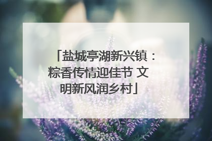 盐城亭湖新兴镇：粽香传情迎佳节 文明新风润乡村