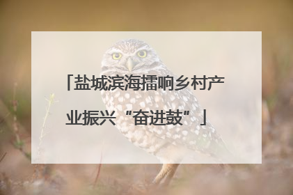 盐城滨海擂响乡村产业振兴“奋进鼓”