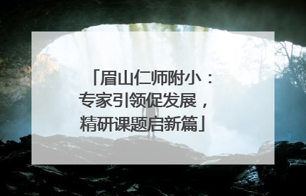 眉山仁师附小：专家引领促发展，精研课题启新篇