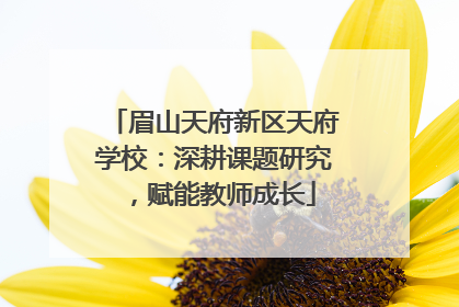 眉山天府新区天府学校：深耕课题研究，赋能教师成长