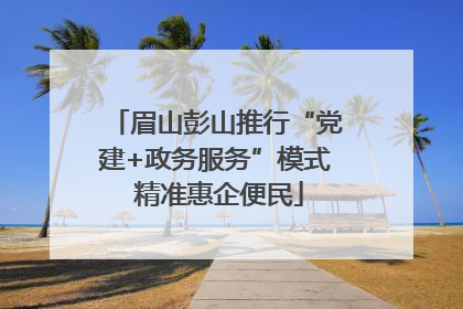 眉山彭山推行“党建+政务服务”模式 精准惠企便民